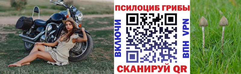 Купить закладки  Любань  Галлюциногенные грибы ЛСД 